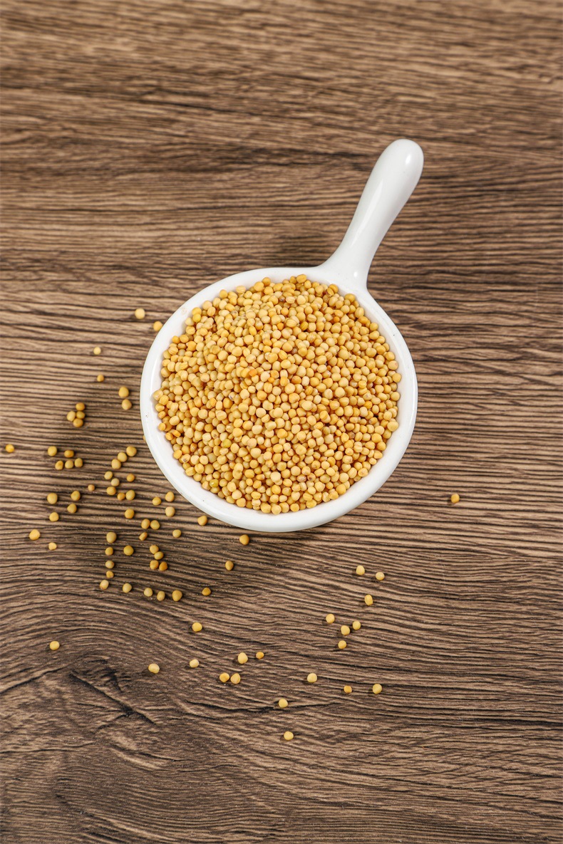 White Mustard Seed Bai Jie Zi Dried Herbal Seeds 500g Bulk Pack overview
