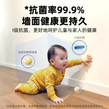 补墙膏墙面修补膏白色墙壁白墙防水防霉钉眼腻子