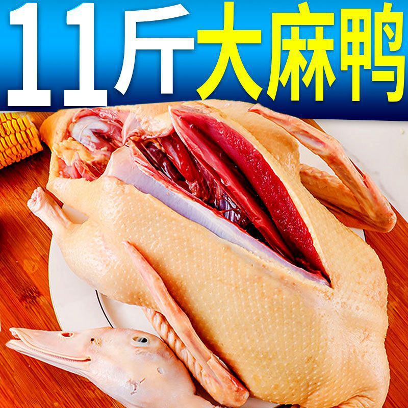 农家散养土鸭老鸭麻鸭嫩鸭生鸭肉鸭子鲜鸭水养鸭整鸭新鲜直发