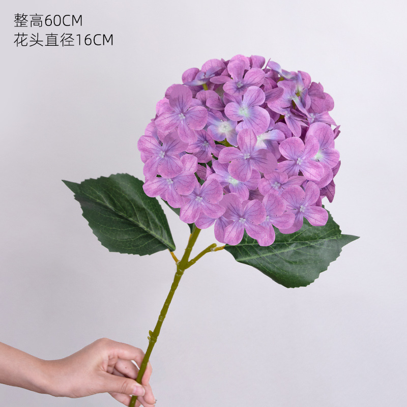 엘사 수국*보라색