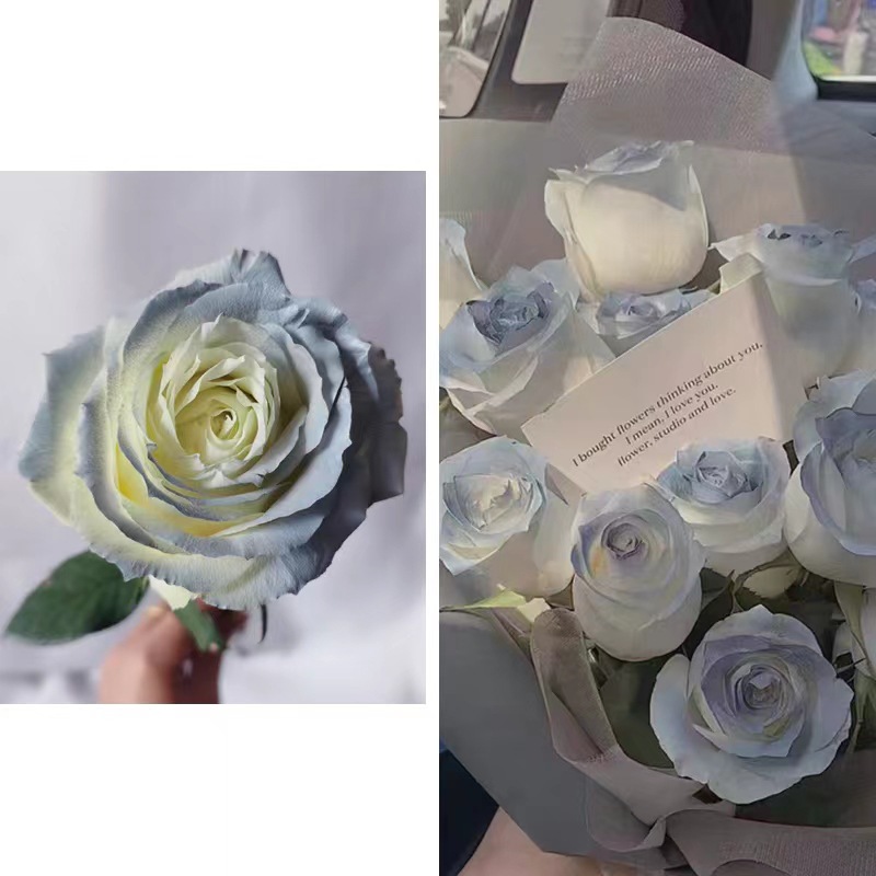 Internet celebridad ciruela negro rosa púrpura flores autopintadas agente de pulverización de color tinte floral spray colorante