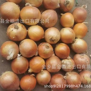 ���[��֭�����[�S���[����|�����[�SƤ���[����