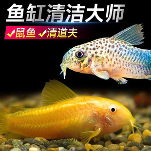 �^�p�~�����С�͟Ꭷ���R�~���幤�ߵ���ˮ�坍�S���̦���ȸ�~