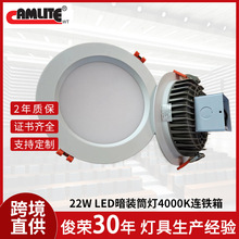 外贸跨境货源22W LED 暗裝筒灯4000K连铁箱楼梯走廊走道应急筒灯