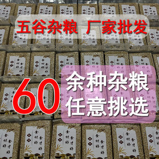 ���S�����l������s�Z���x�ּZ�׶��ӻ���s�ZС���S���G��������