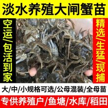 \ڴlз絭ˮĸзëззK|Bֳ