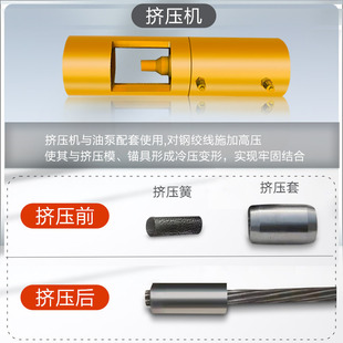 �����^���D���C �S�҆ζ��^�̔D���B���i�^�C 15.2䓽g���D���C