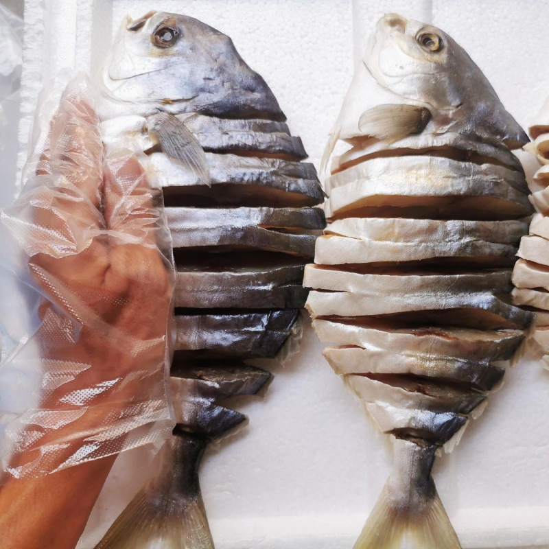 약 2500G 5개 [점장 추천]