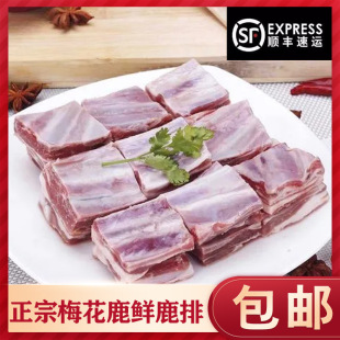 �r¹�Ŗ|���خa�r¹�����l������|�r��÷��¹���N���r����¹�Ź�