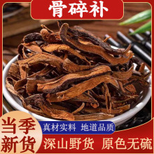 正宗骨碎补中药材骨碎补泡酒新鲜干货岩连姜爬岩姜肉碎补申姜猴姜