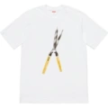 386-White