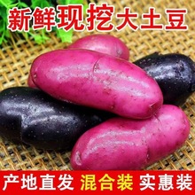 �����߲������������r�����r���ԷN�߲˼tƤ�t�������R���������