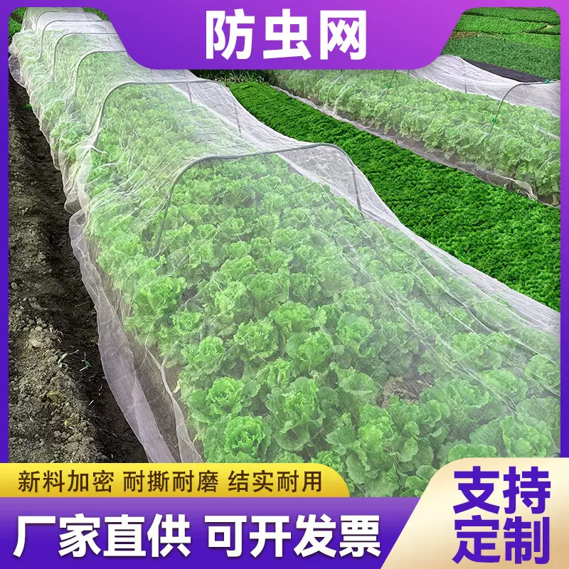 蔬菜防虫网拼接养殖防虫网种菜农用防虫网大棚独立包装果树防鸟网