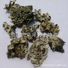 ʯ��,�e��,�黨,����,ʯ÷�µĵ����w,