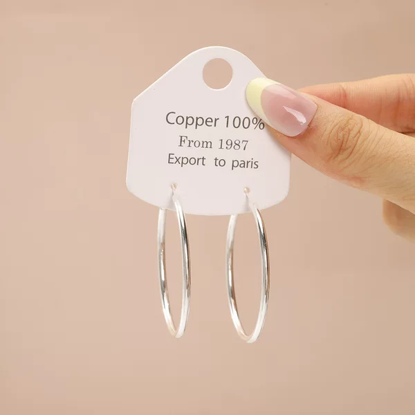 European and American style, unique, simple, light luxury, high-end, large hoop earrings, niche, exquisite, exaggerated, stylish, versatile earrings
