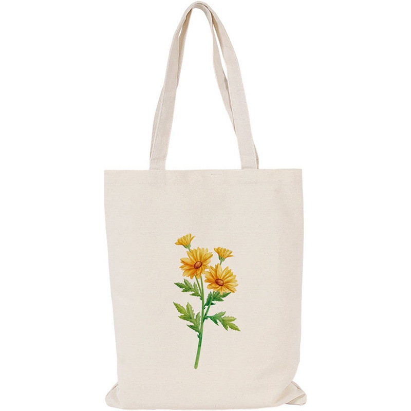 小清新白色帆布袋手提女式文艺范环保购物袋学生单肩帆布包批发