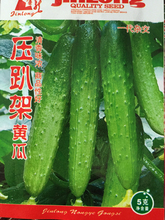 ſܺSϷNݖ|SϷNӺSSϷNѴ＾ļ