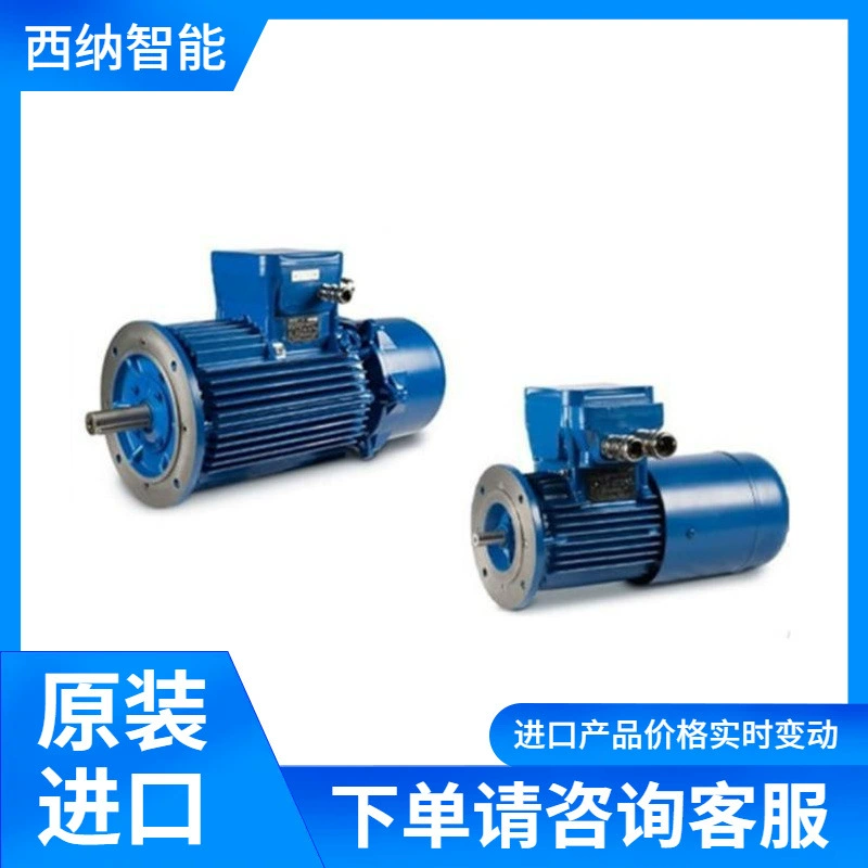 CEMP тормозной двигатель E .. DB Несколько тормозных моментов на выбор