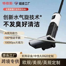 家用吸尘器;蒸汽清洁机;便携式吸尘器