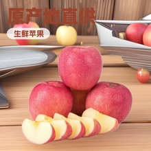 洛川丑苹果原产地批发18枚80#10斤水果红苹果地理标志红富士脆