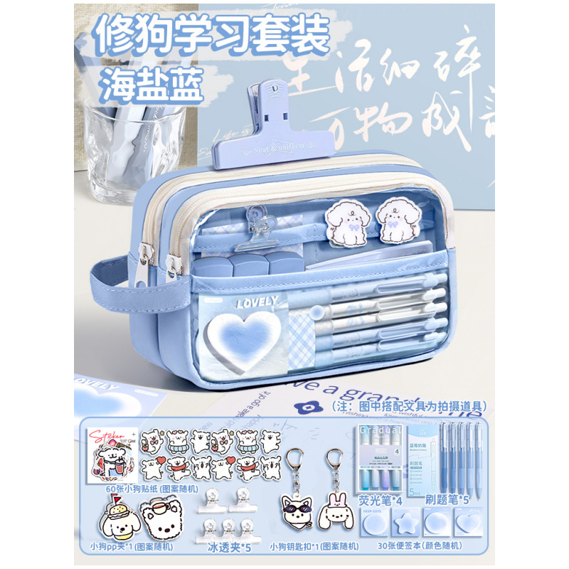 Estuche de lápices de gran capacidad para niños y niñas, estudiantes de secundaria y estudiantes de primaria, superpopular, bolsa de papelería transparente, bolsa de lápices estilo ins