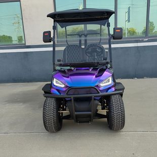 Electric sightseeing bus Scenic Spot travel scooter property patrol car building reception car off-road electric golf cart