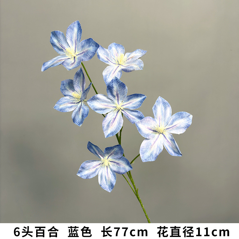 6송이 백합, 블루