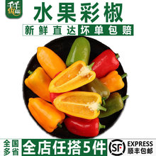 ˮ���ʽ�500g���\����ʽ�������ɳ�������߲����l