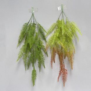 ����G���@���bڒ� ������ԾGֲ��� ��횒� ���~��