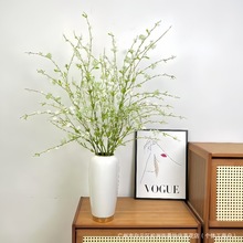 ����ѩ�����滨�b[���͏d���ܔ[�O�������߶ˏS��ԭ��