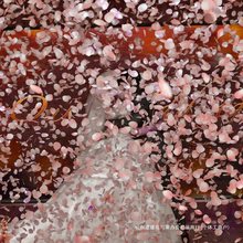 ������Y��Y�ڶY��Ͳ�YͲ�ڲʎ����֔Q��Ͳ������Y��c��Ʒ��ȫ