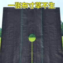 ���ݲ���Ƭ���ݲ���Ƭ�Ώ���׵ز��Ӻ��ϻ�͸��͸ˮ�@ˇ��ز�