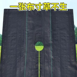 ���ݲ���Ƭ���ݲ���Ƭ�Ώ���׵ز��Ӻ��ϻ�͸��͸ˮ�@ˇ��ز�