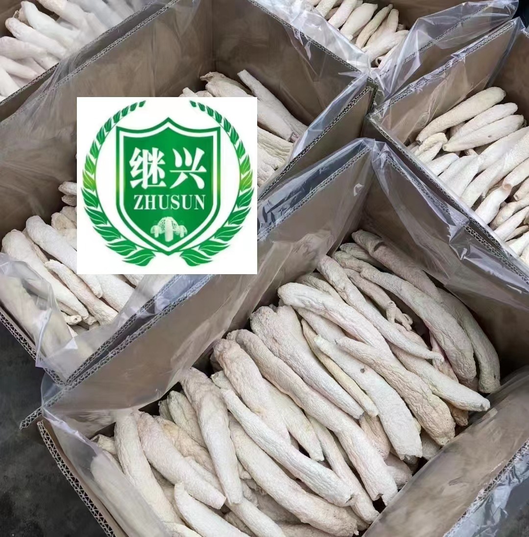 冬荪装箱大图
