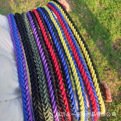 Cross-border wholesale nylon six-strand rope pet dog collar leash set P chain dog rope pet supplies