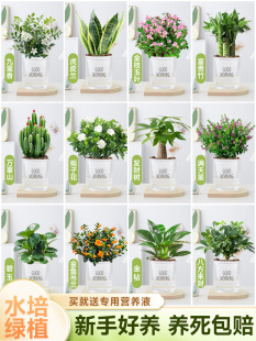 �Gֲ�����҃��׃��@����Сֲ��͏d�k�������滨�ܰlؔ��ˮ��G�}