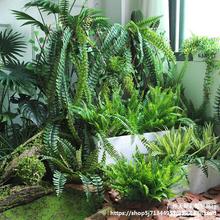 ��˹���~ާ�ֲ��ٻ��ݾGɫ�~�ӻ�cܛ�b�廨��ı������b�����