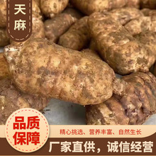 tșຣկС݉γҰralԮaN