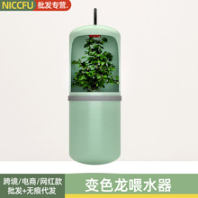 NC爬宠喂水器活水树栖动物喂水器饮水器饲养箱循环喂水蜥蜴饮水机