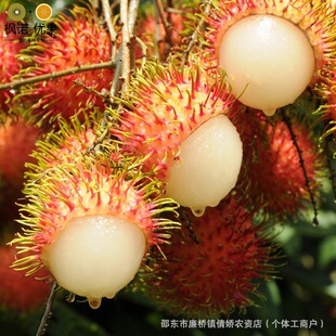 �të���N��̩���të���߲�ë��֦ë���۲��ѹ��������Ե��Ԯ���Y