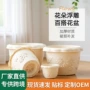 爱丽丝爱丽思加仑多肉花盆
