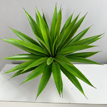 �Gֲ���^�Ꭷֲ���b��愦�����Ԅ��m����С�����m�҃��~����