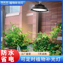 可定时多肉月季植物补光灯仿太阳全光谱绿植室内家用兰花卉生长灯