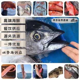 150��~����r�����rҰ���~���rʳ�����l����������~���~