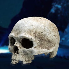 ���x��ˮ���~���쾰�b� �ת{������֩��ϐ�Ӷ�Ѩ ���������t�^��