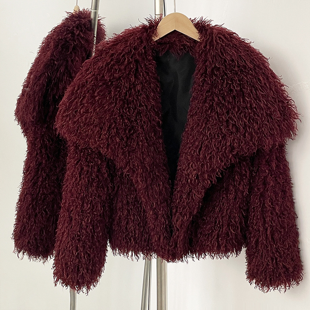 Dameskleding Korte jas Imitatie strandjas met imitatiebont Korte jas Modieuze imitatiebontkraag Winterkleding Elegante casual stijl_voghion.com