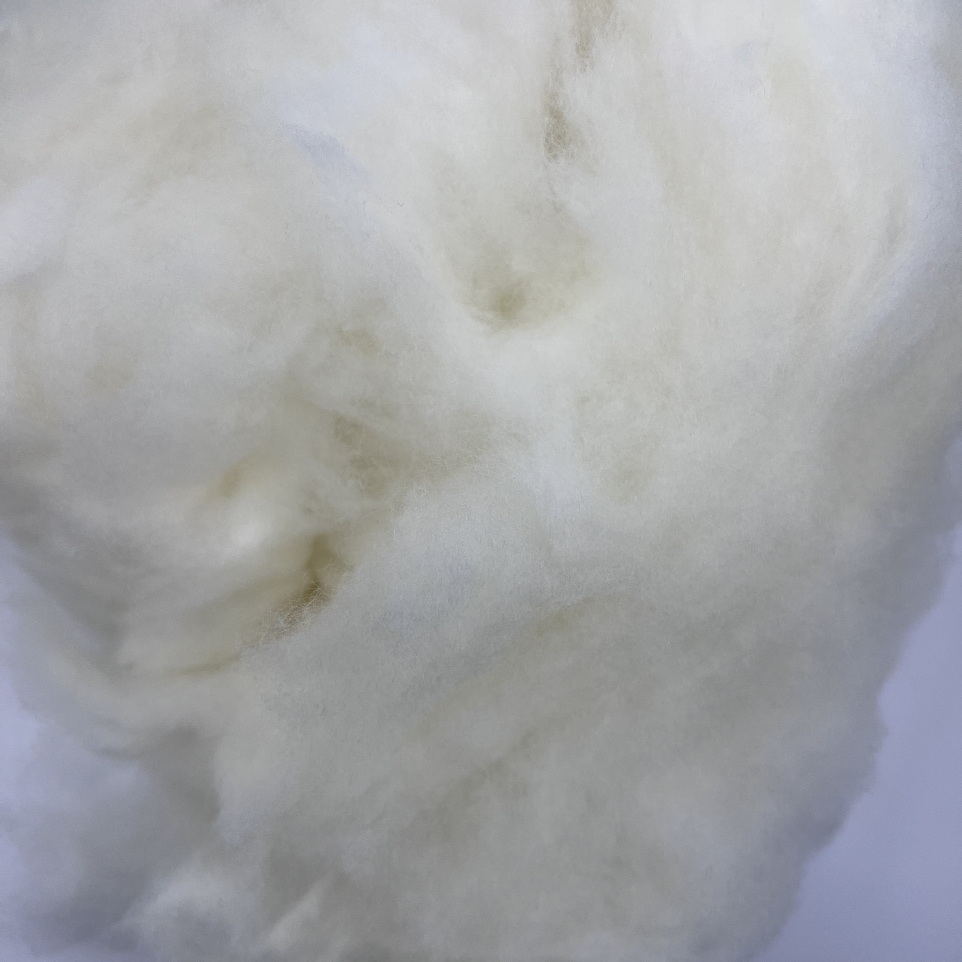 Wholesale combed 70-count sheep wool