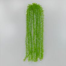 ����ֲ��5�����m�ٴ����ڒ������ֲ��҃ȾGֲ�b����ٗl