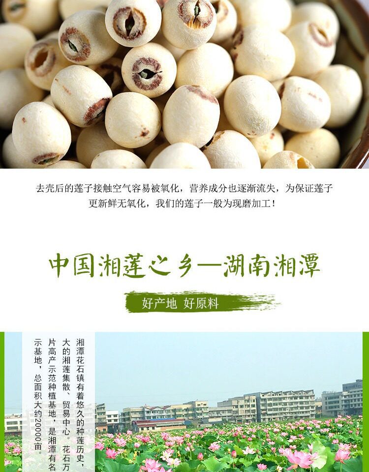 Premium White Lotus Seeds with Core Bai Lian Zi 500g Dried Xiangtan Lotus Seed Kernels for Soup and Tea quality and texture