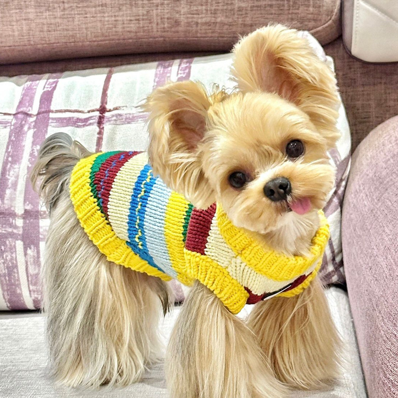 Pet Knitted Sweater Teddy Bichon Pomeranian Cat Small Size Dogs Dog Clothes Yorkshire Autumn and Winter Clothing Autum